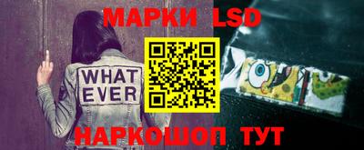 тгк Кимры