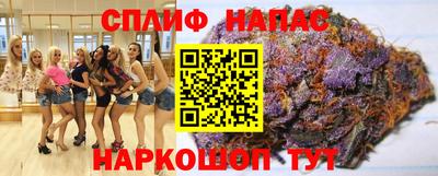 ешки Кингисепп
