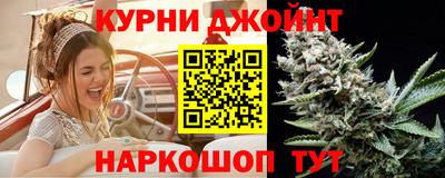 ешки Кингисепп