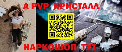 ешки Кингисепп