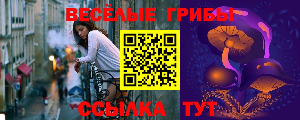 Галлюциногенные грибы GOLDEN TEACHER  Вход с VPN  Псилоцибиновые грибы Magic Shrooms  Ишим 